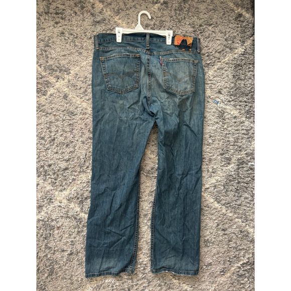 Levi - Picture 2 of 3